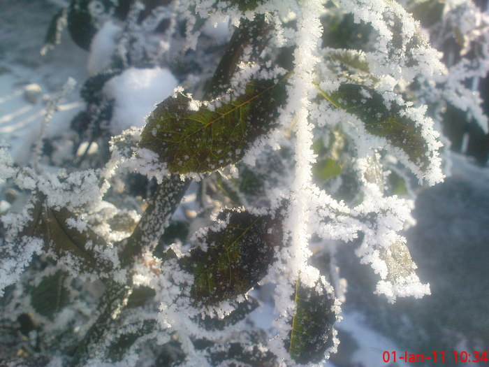 DSC07844