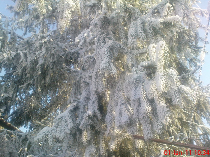 DSC07845