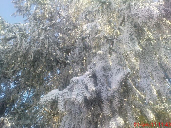DSC07847