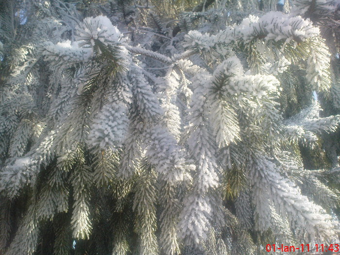 DSC07848