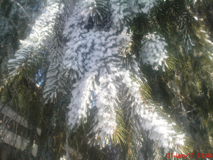 DSC07851