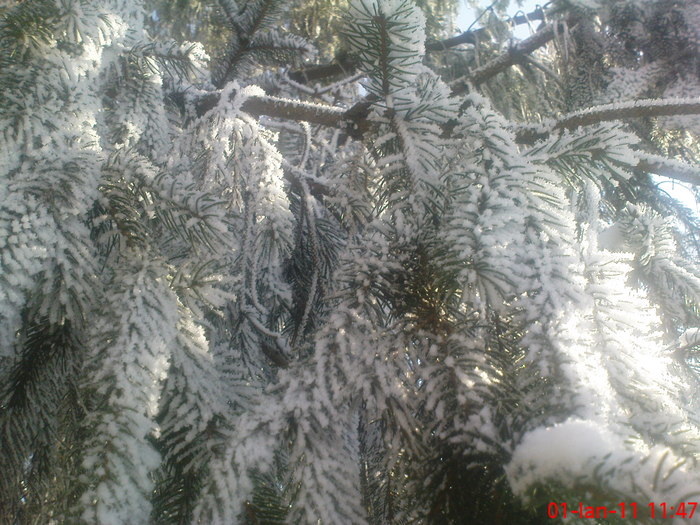 DSC07863