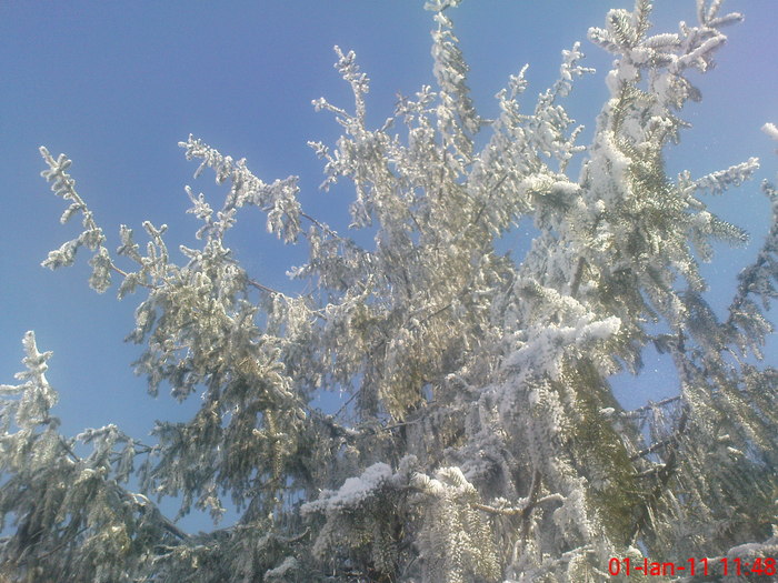 DSC07866