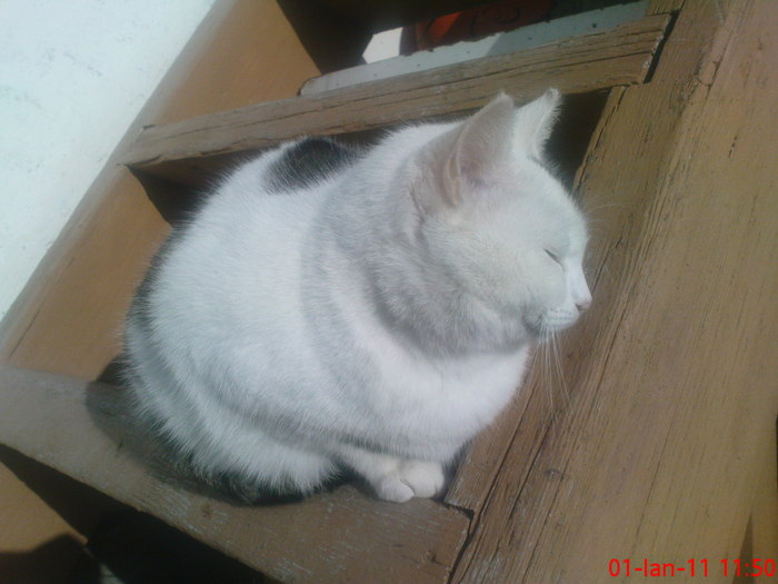 DSC07873