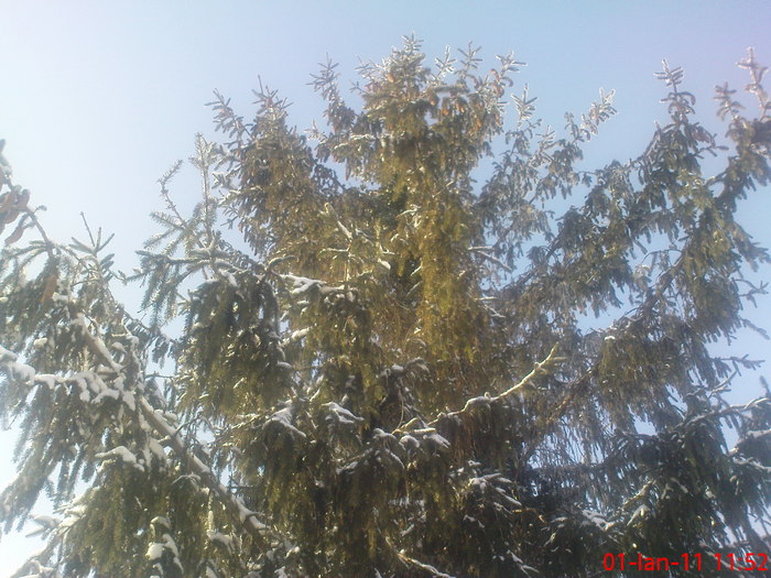DSC07878