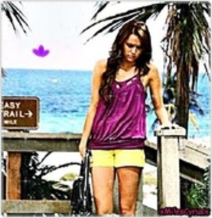 29513228_BOGUPNTCR