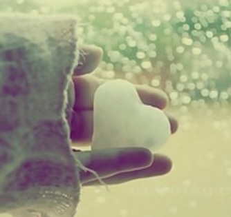 29513307_QHWSAJYAD