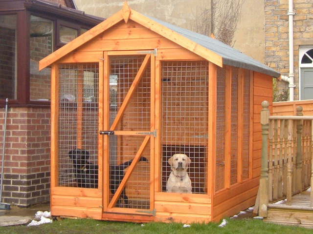 Country Kennel - Animale ce-mi doresc