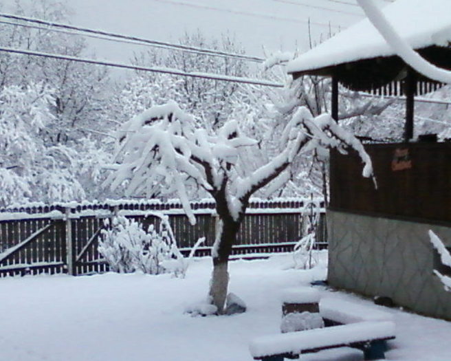 Fotografii-0054 - Iarna in satul meu