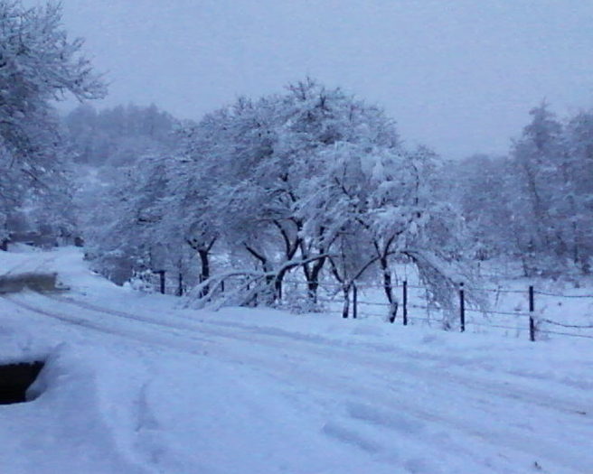 Fotografii-0065 - Iarna in satul meu