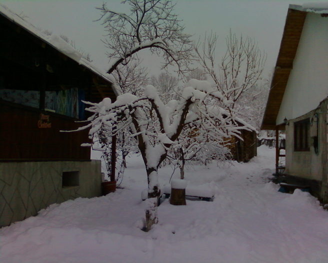 Fotografii-0072 - Iarna in satul meu