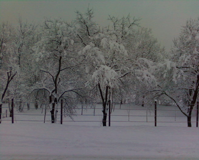 Fotografii-0070 - Iarna in satul meu