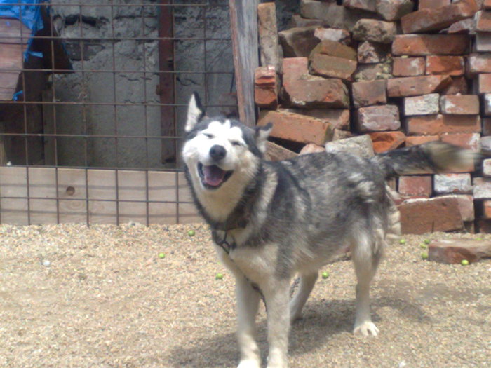 aici zici ca zambeste