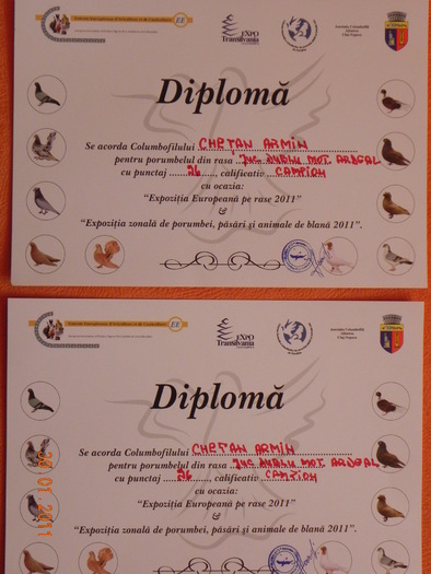 2xdiploma campion european - EXPOZITIA EUROPEANA PE RASE -CLUJ-NAPOCA-14-16 IANUARIE 2011
