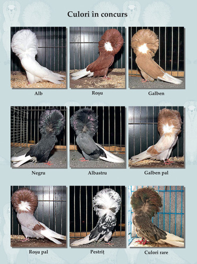 29266560_LHRHGAAFW - Contact