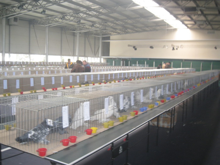 IMG_0588 - Timisoara 28-30 ian 2011