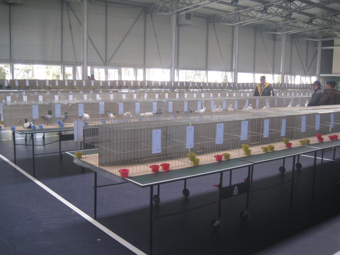 IMG_0589 - Timisoara 28-30 ian 2011