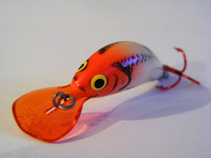 2011_0130PianuarieP0027