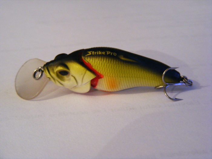 2011_0130PianuarieP0033