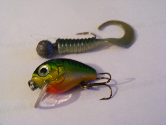 2011_0130PianuarieP0037