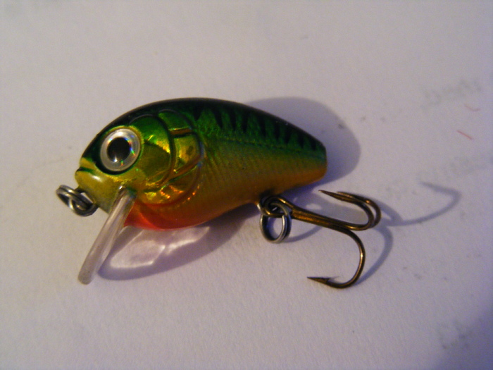 2011_0130PianuarieP0040