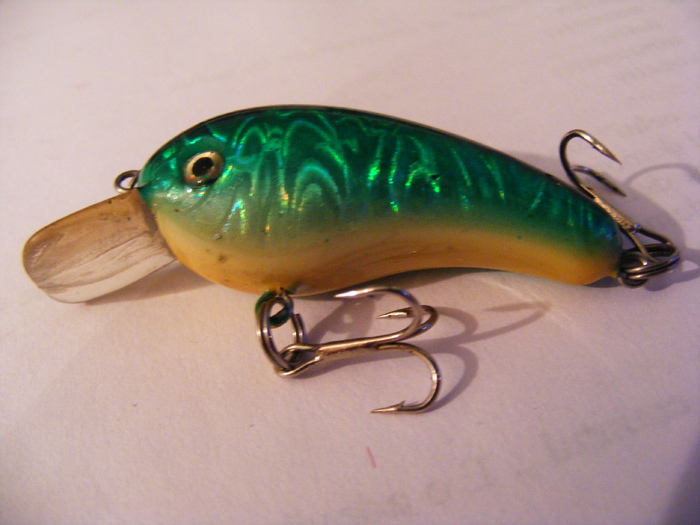 2011_0130PianuarieP0061