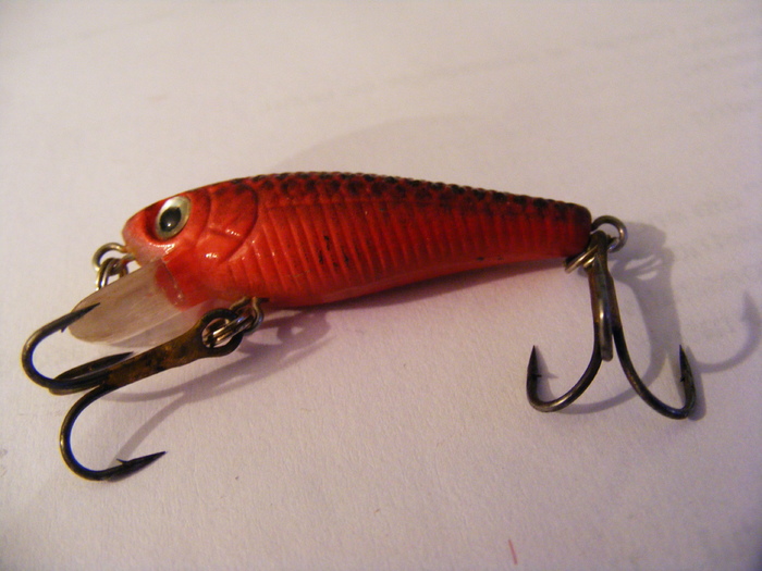 2011_0130PianuarieP0063