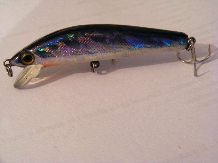 2011_0130PianuarieP0072