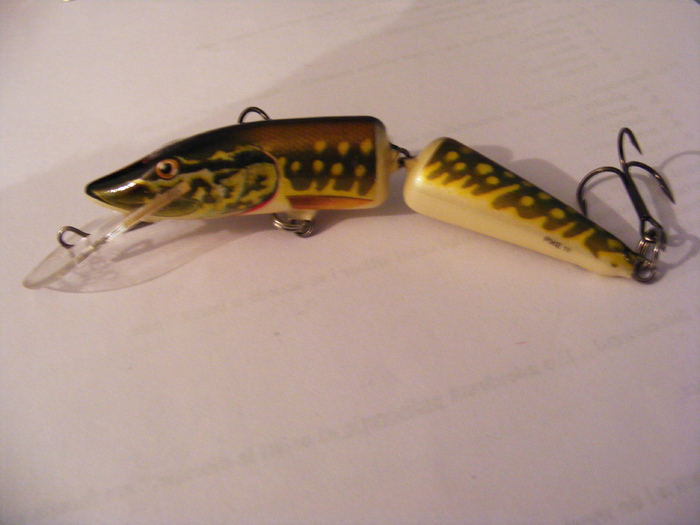 2011_0130PianuarieP0091