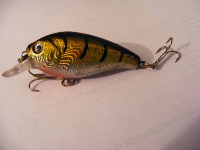 2011_0130PianuarieP0095