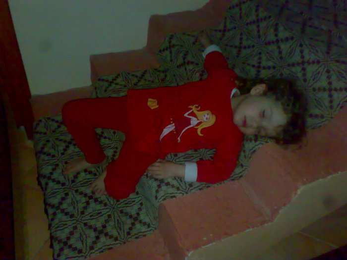 29012011005 - familie