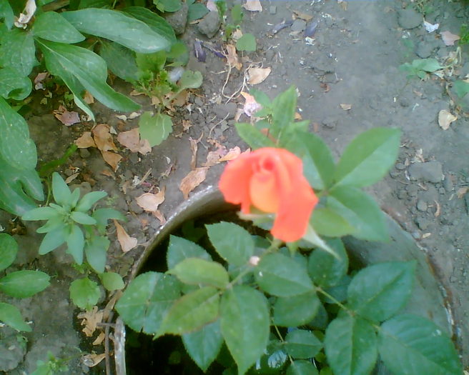 Imag001