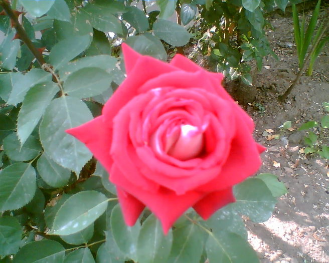 Imag002