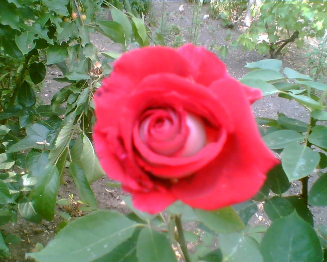 Imag005