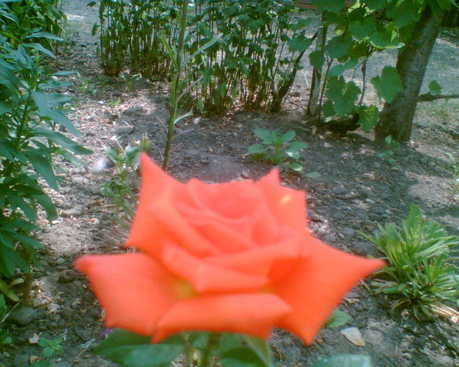 Imag006