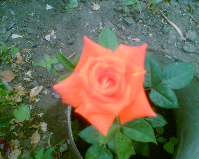 Imag007