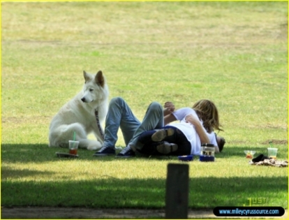 normal_miley-cyrus-liam-hemsworth-togos-02 - In Toluca Lake With Liam and Mate