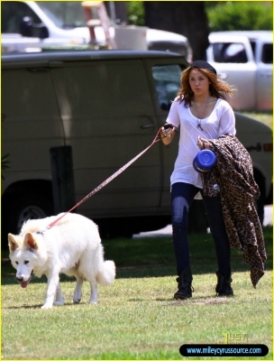 normal_miley-cyrus-liam-hemsworth-togos-22 - In Toluca Lake With Liam and Mate