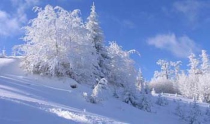 Poze iarna 3 Romania