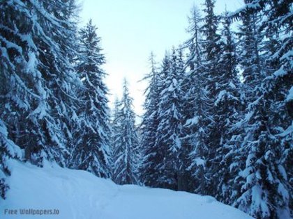 winter4b - iarna in romania