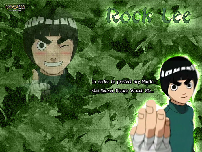 lee - Rock Lee