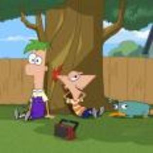 Phineas_and_Ferb_1224692967_0_2007 - Phineas si Pherb