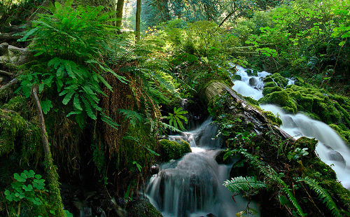 4666359703_9a28b5b25b