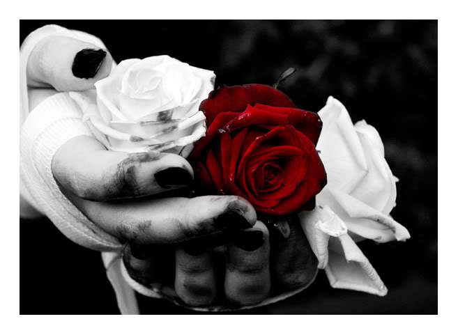 BLEEDING_ROSES