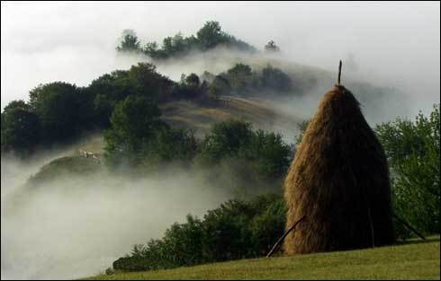 muntii apuseni 3 - munti din Romania