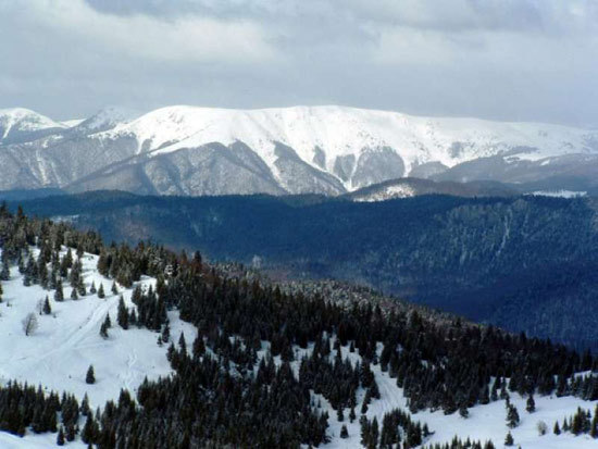 muntii apuseni - munti din Romania