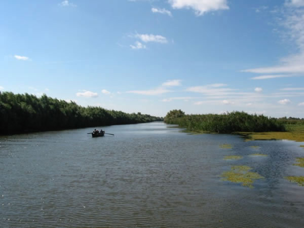 delta dunarii 5 - Dunarea pe teritoriul nostru