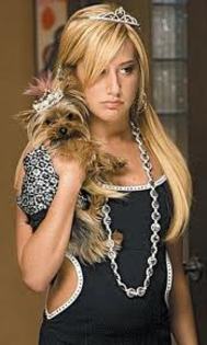 Ashley cu cutzu - Ashley Tisdale blonda