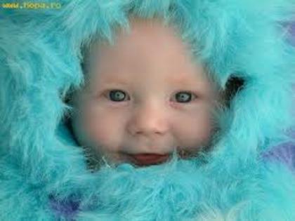 Bebe bleu pufica - Bebelusi
