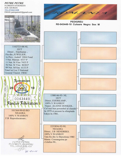 petre petre pedrigree original; petre petre pedrigree original
